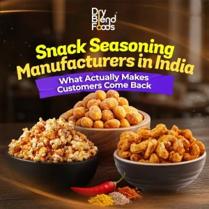 snack seasoning manufacturers